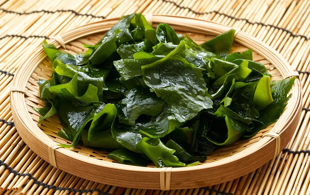 Kelp Extraxt