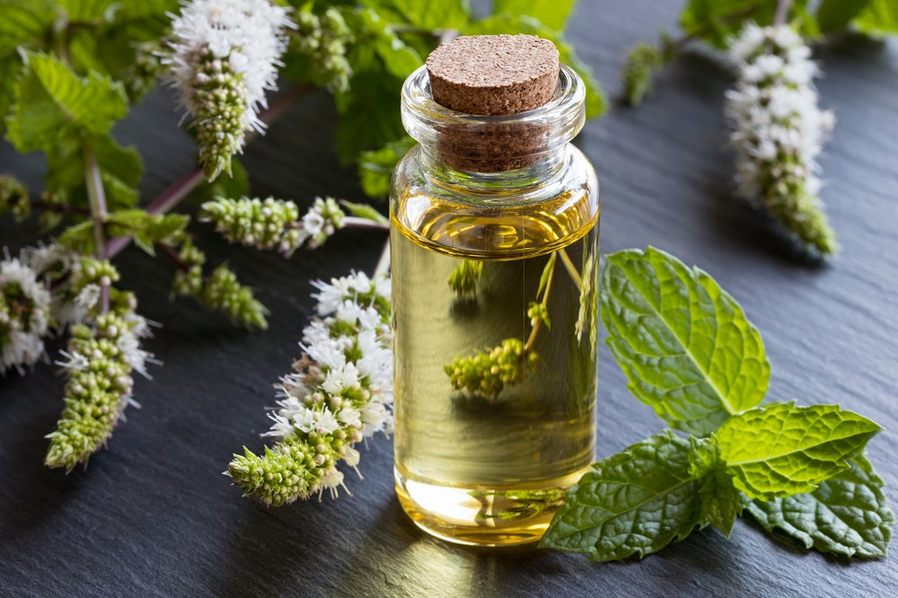 How to Use Peppermint Oil to Treat Acne Benefits, Usage & Side Effects