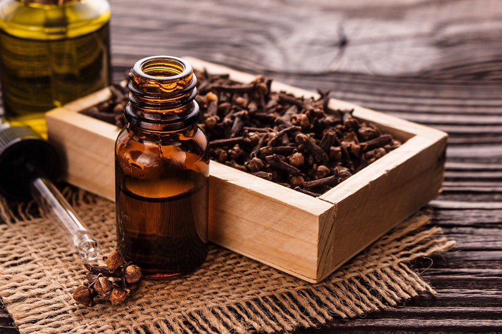 Embarrassed By Bad Breath? Here’s How Clove Oil Can Help You