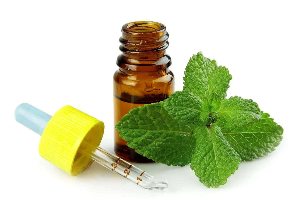 Peppermint Oil 