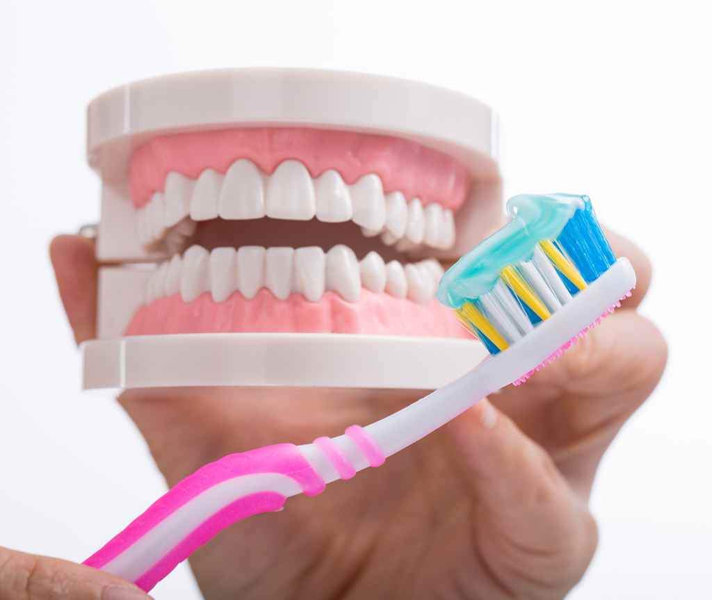 teeth