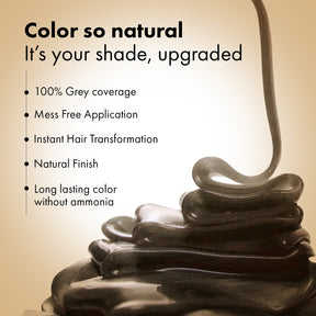 Anveya 5-Minutes Coloring Shampoo Natural Black (Pack Of 2), 200ml