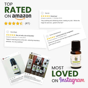 eucalyptus oil online