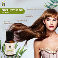 buy eucalyptus oil