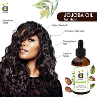 jojoba oil price in india