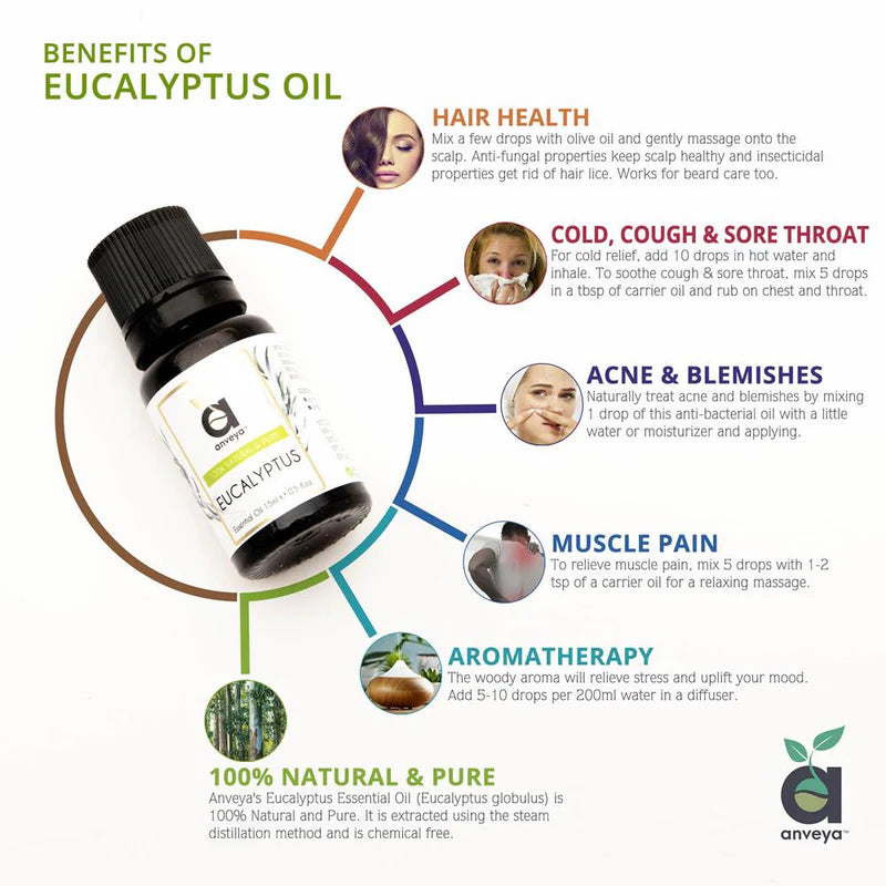 Set of Top 3 Essential Oils: Tea Tree + Eucalyptus + Lavender Oil, for Skin, Hair & Aroma